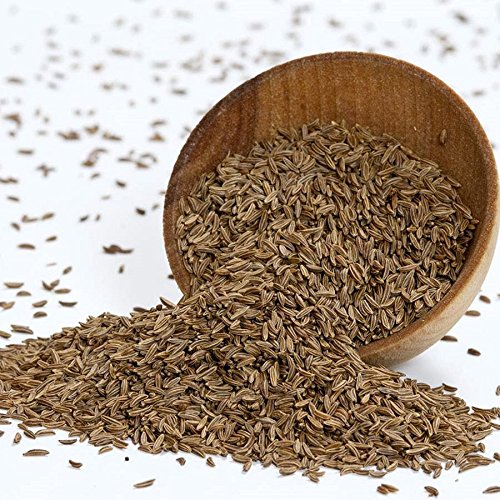 Caraway Seeds - 1 tarro - 16 oz