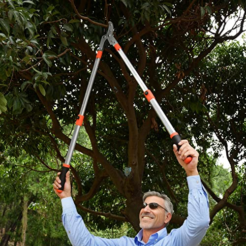 Ébrancheur extensible Thanos pour tailler les branches hautes sans échelle - 4