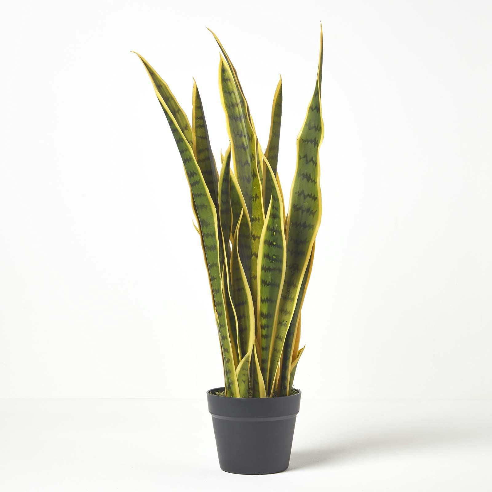 Amazon.de: Homescapes Kunstpflanze Sansevieria Trifasciata, knstlicher  Bogenhanf/Schwiegermutterzunge im Topf, grn-gelb, dekorative knstliche ...