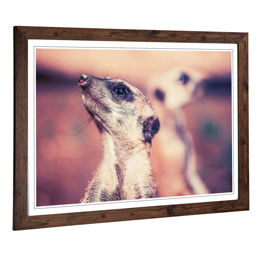 Big Box Art Framed Print of Meerkats Design | Wall Art Picture | Home Decor for Kitchen, Living, Dining Room, Lounge, Bedroom, Hallway, Office, Walnut, A2 / 24.5x18 Inch / 62x45cm