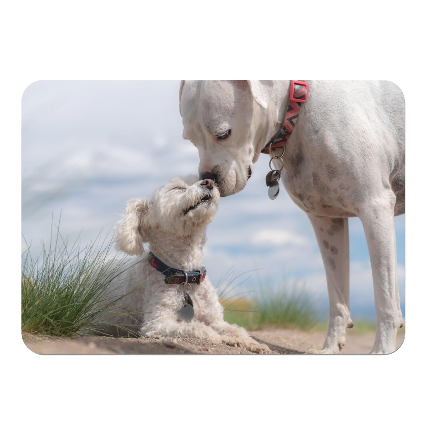 Napperons de table en liège motif chiens le cadeau idéal lot de 4 sets de table souples