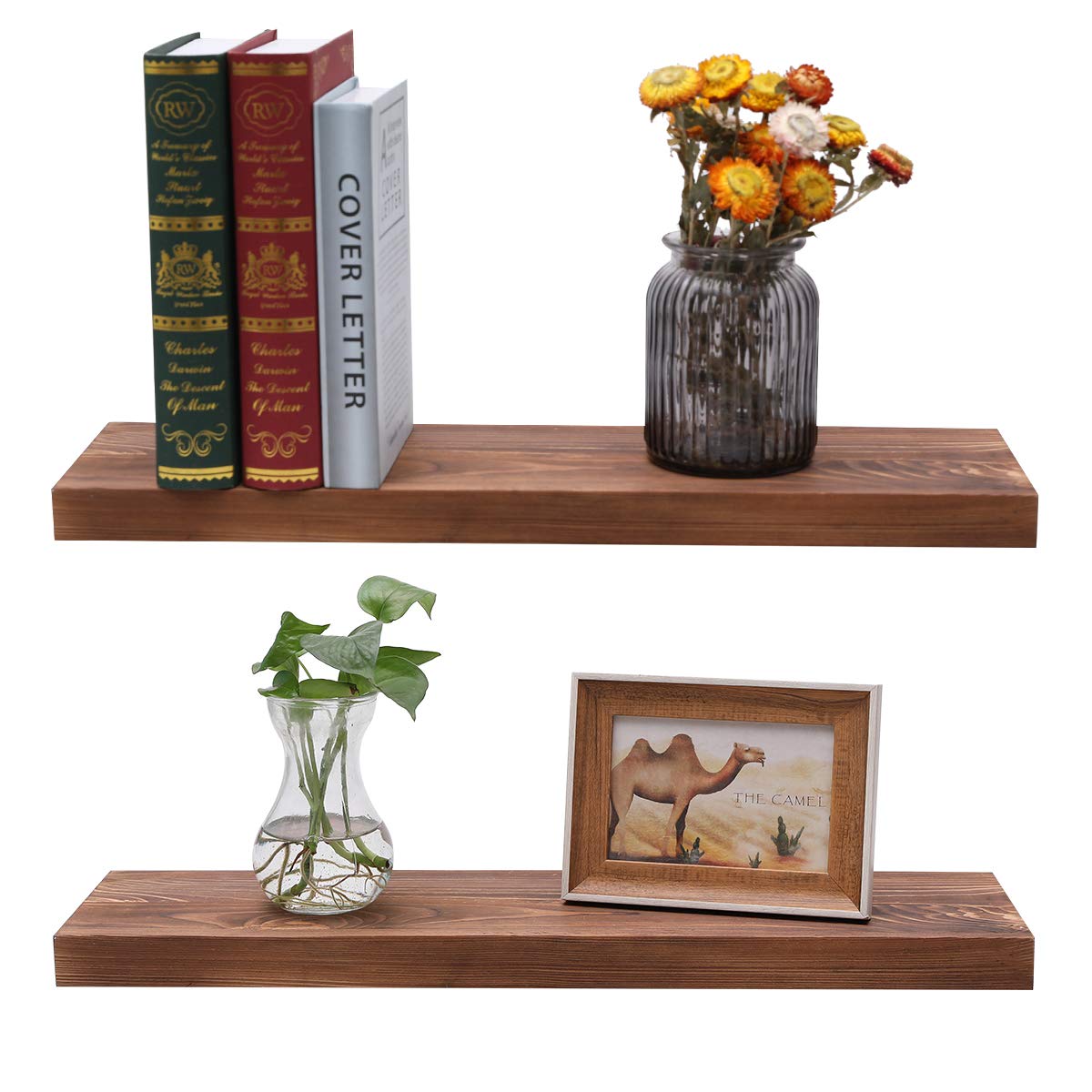 Teak Wood Shelves Decor For You