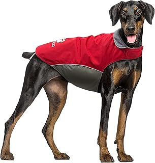 IREENUO Wasserdichter Hundemantel, Hundejacke Winter Winddichter Warmer Hunderegenmantel für Mittelgroße bis Große Hunde mit Sicheren Reflexstreifen und Verstellbarem Brustriemen (M, Red) product image