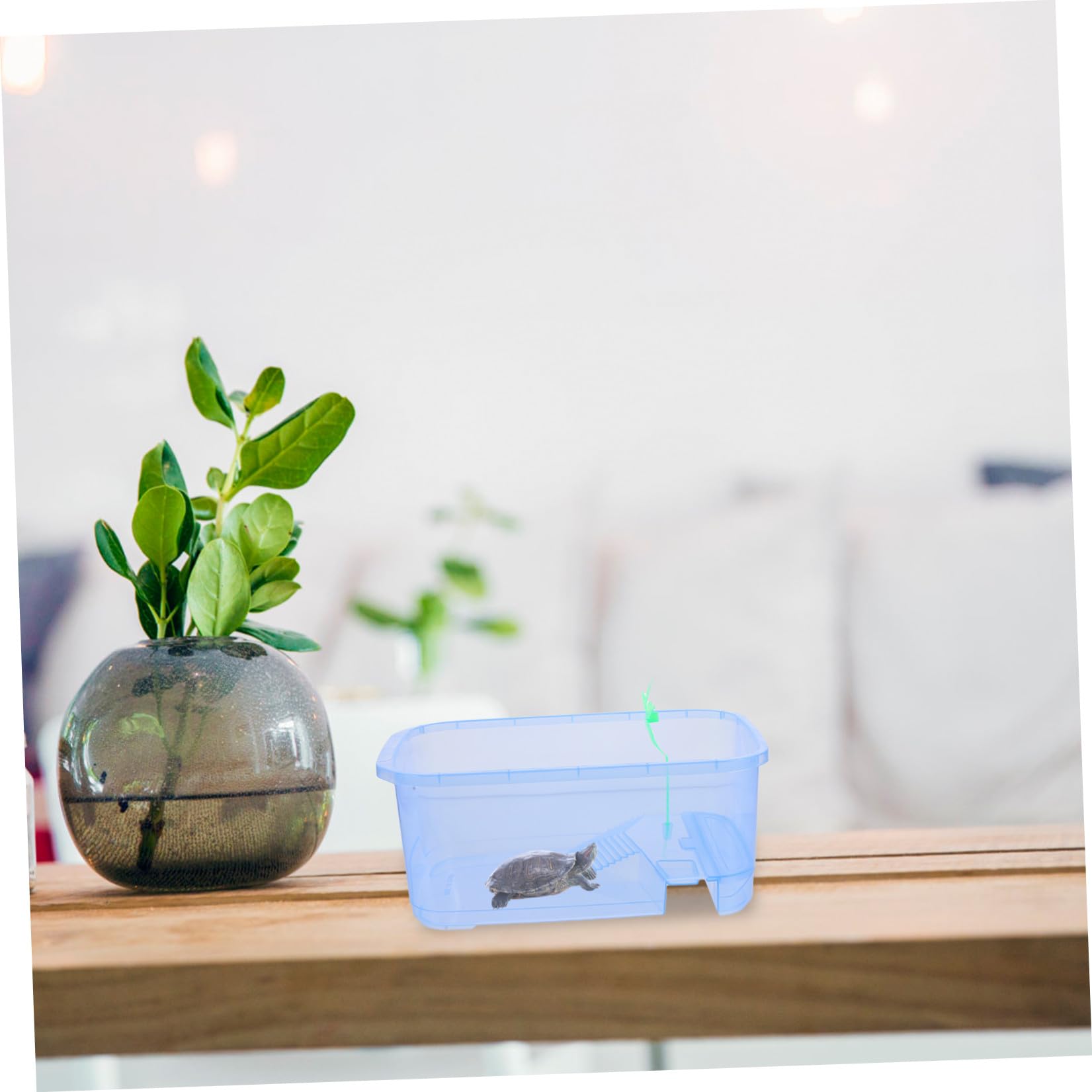 Sosoport 3sets Tank per Rettili e Tartarughe per Allevamento e Alimentazione Design e Facile per Domestici Small