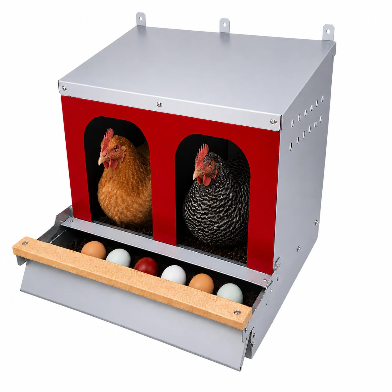 Hen's Choice™ - Caja nido enrollable reversible para pollos | Caja nido enrollable | 2 compartimentos de 21 pulgadas | Galvanizado resistente