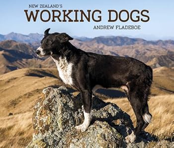 Hardcover New Zealand's Working Dogs Book