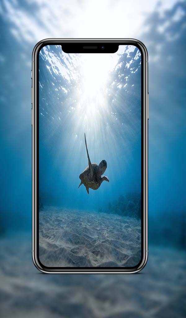 Ocean Wallpaper App on Amazon Appstore