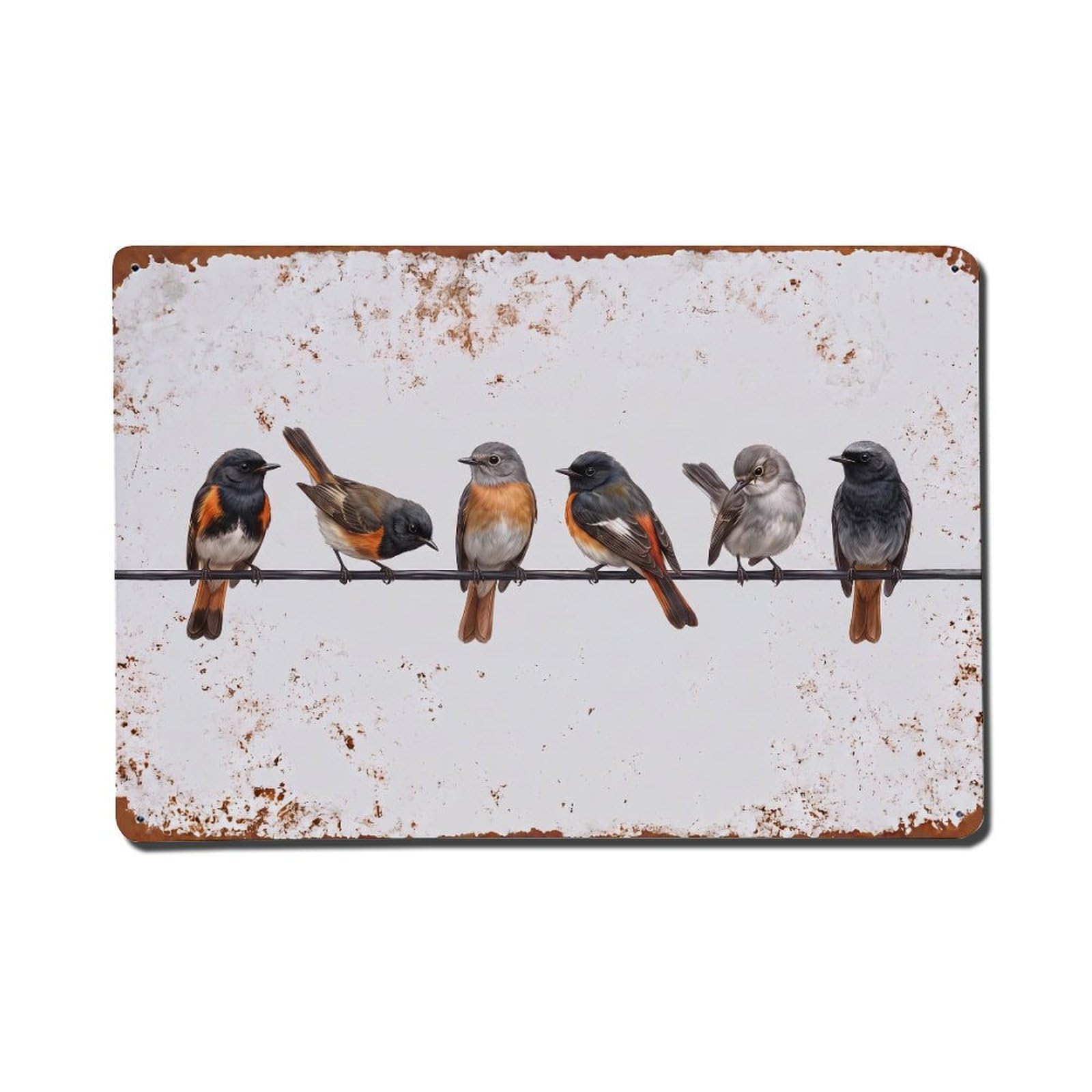 Vintage Retro Birds Redstart Metal Tin Sign