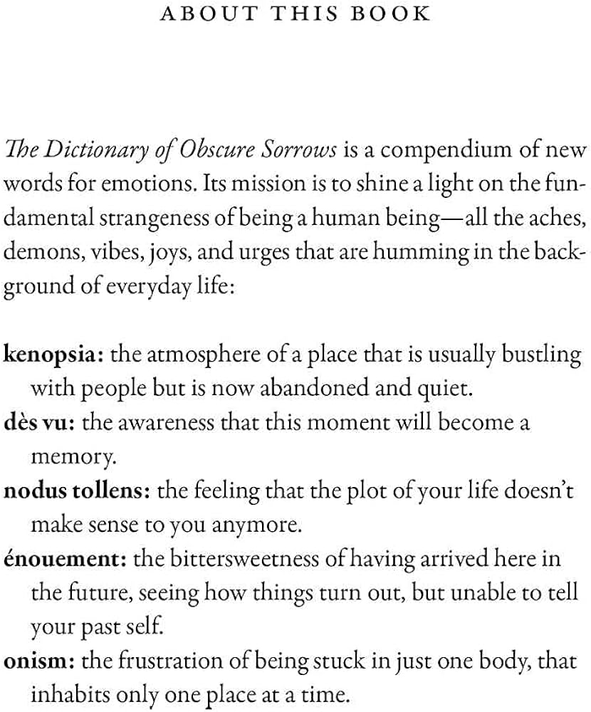 Obscure Words The Dictionary Of Obscure Sorrows By Wren Wright