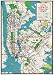 Cavallini Decorative Paper - New York City Subway Map 20"x28" Sheet