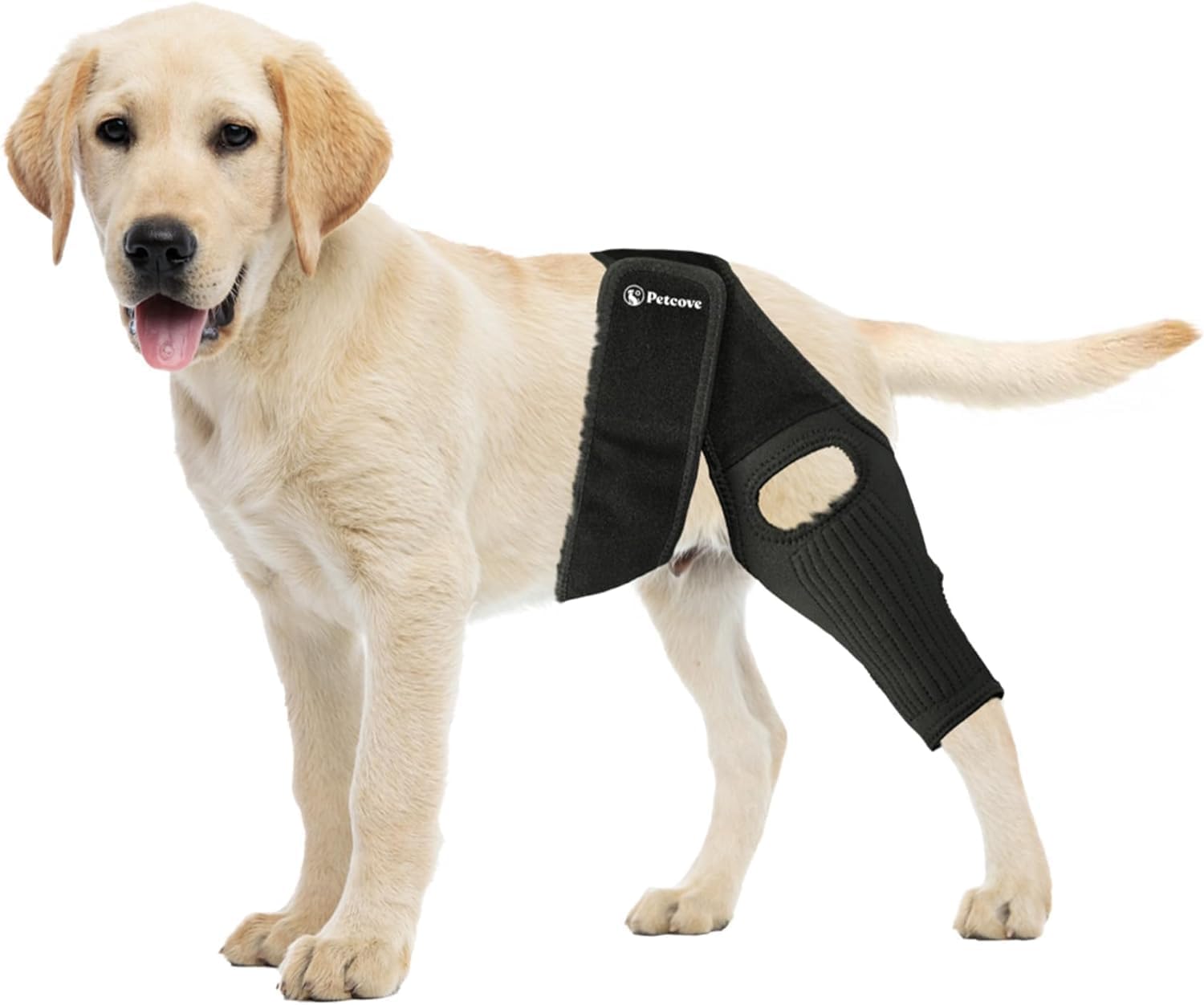 Genouillère pour chien flexible approuvée pour soutien du LCA