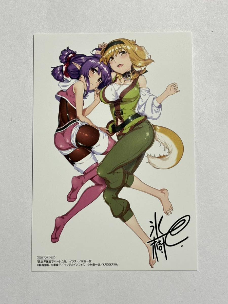 Amazon.co.jp: 異世界迷宮でハーレムを アニメイト フェア特典 複製