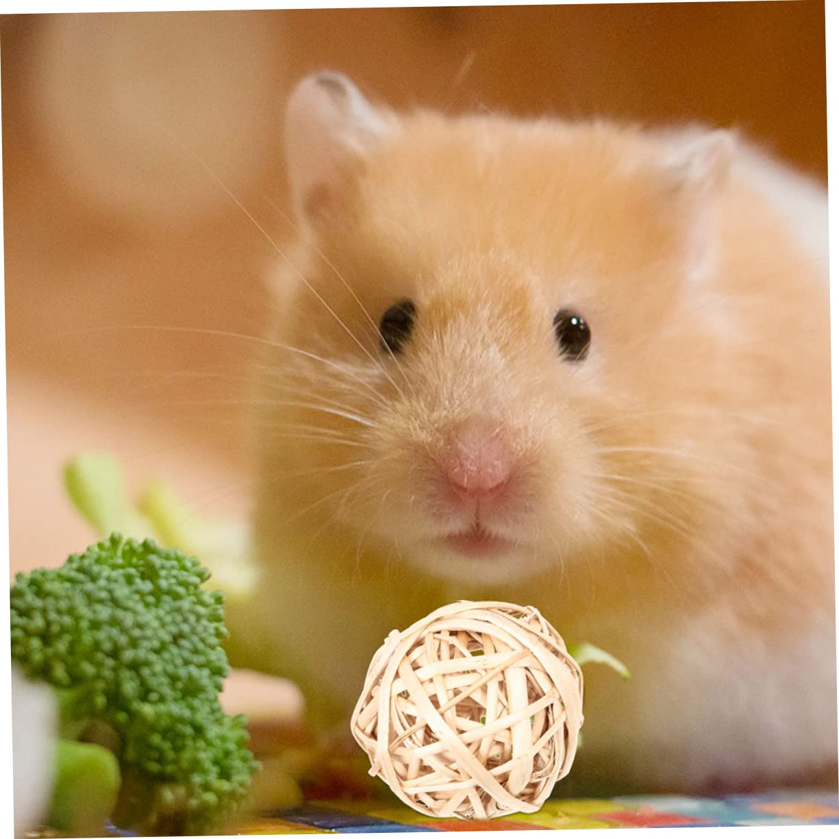 BESPORTBLE 36piezas Juguetes para Hámster y Pequeños Roedores Accesorios De Enriquecimiento para Conejillos De Indias Chinchillas y Conejos Juguetes Masticables Naturales para Actividad y