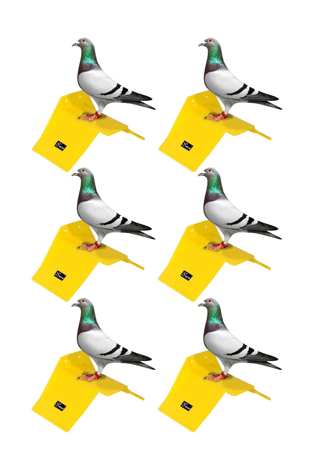 Pigeon Stand Yellow Colour Plastic Material (Pack of 6) (B0D9WS5TGK) Amazon Price History, Amazon Price Tracker