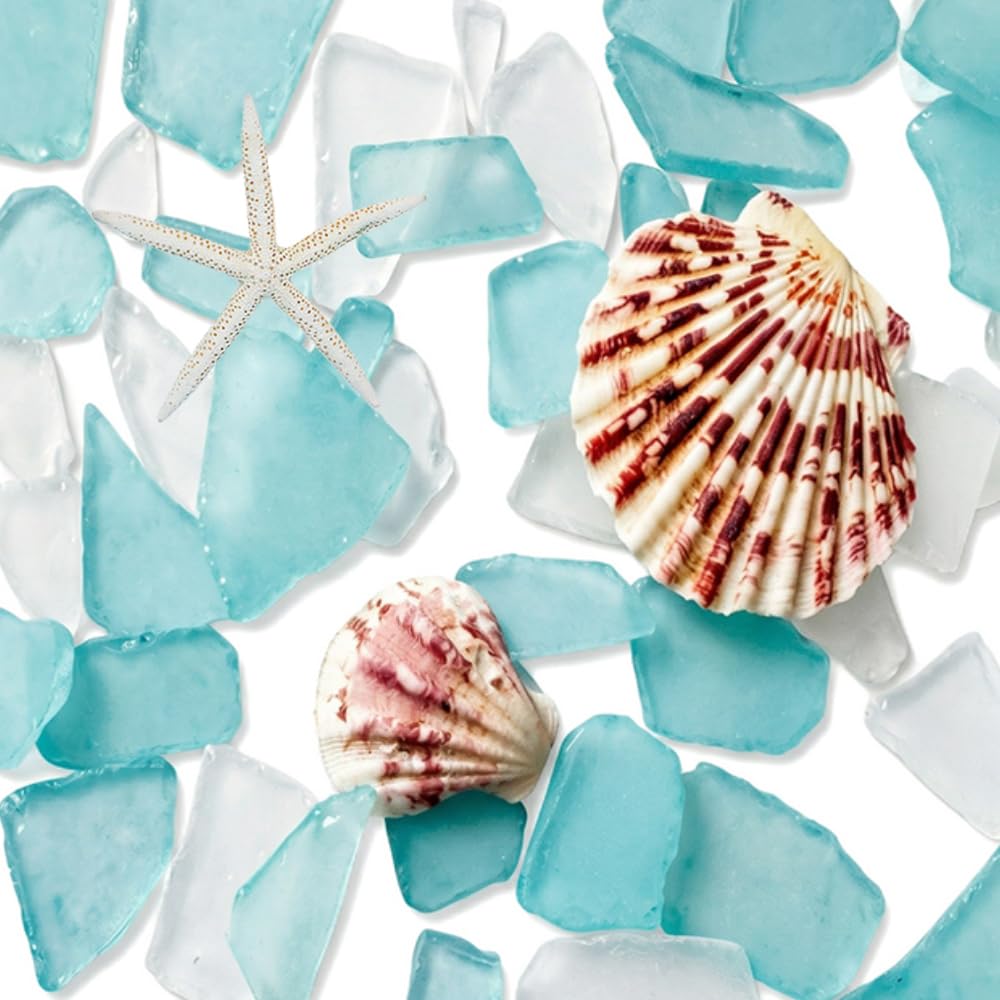 G&S homedeko White Sea Blue Sea Glass 10oz Bulk Mix with 2 Pieces Seashells - Genuine Beach Tumbled Glass Pieces for Crafts, Vase Filler, Coastal Home Decor, DIY Projects,Gift Filling