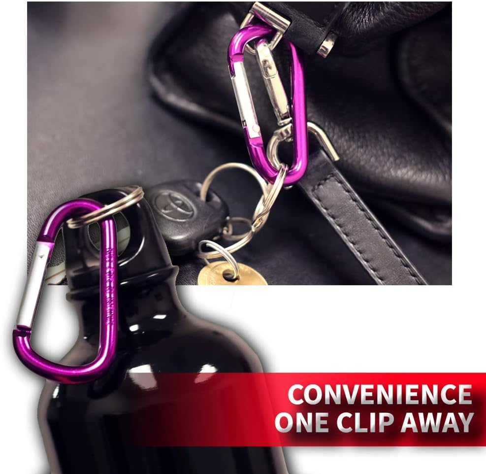 Custom Accessories 37756 2-1/8" Long Carabineer Key Ring, (Twin Pack)