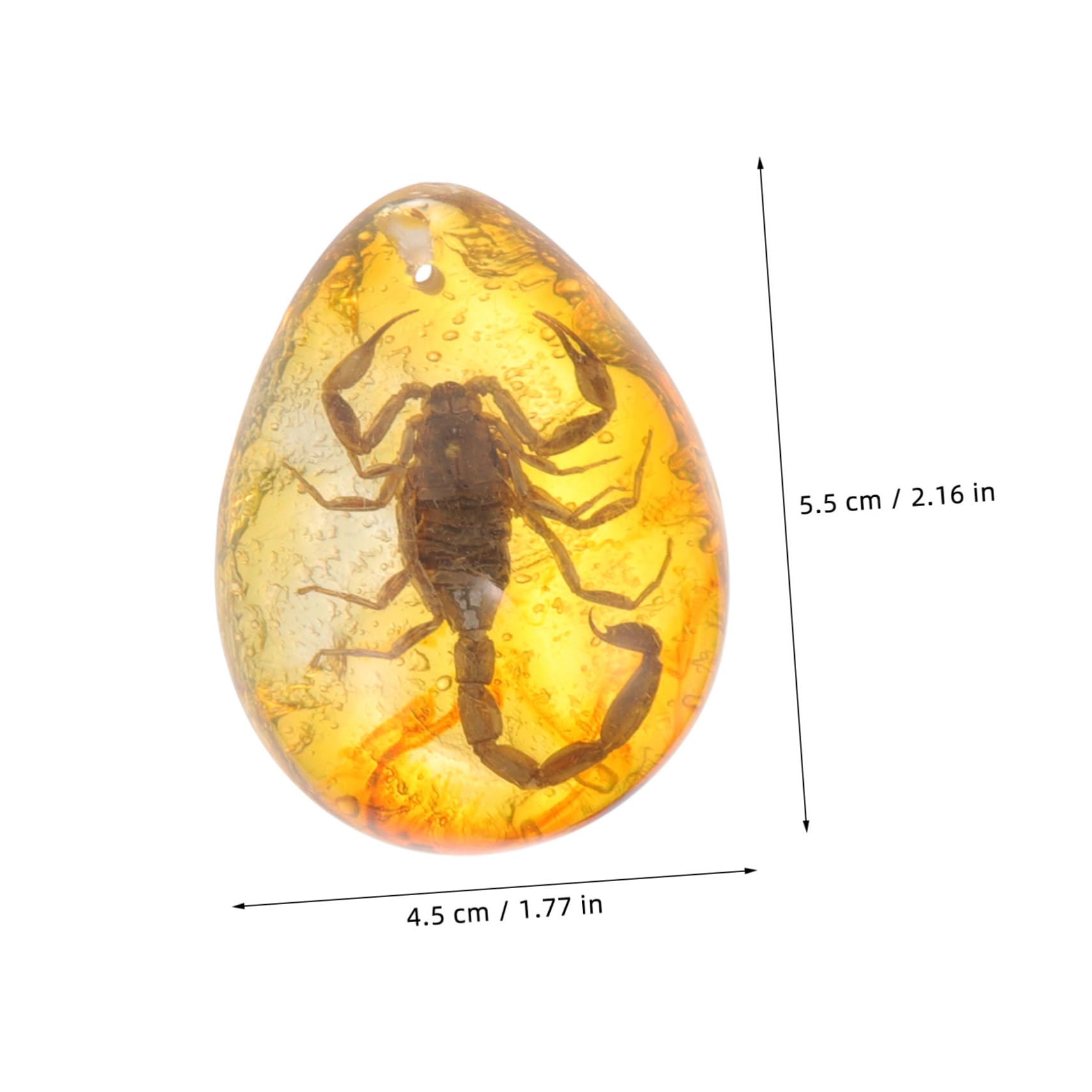 TOYANDONA 15pezzi Insetti Ambra Naturale Decorazione Ambra Con Specimen Di Insetti Farfalla Scorpione Ape Ciondolo Unico Per Appassionati Decorazioni Fai Te
