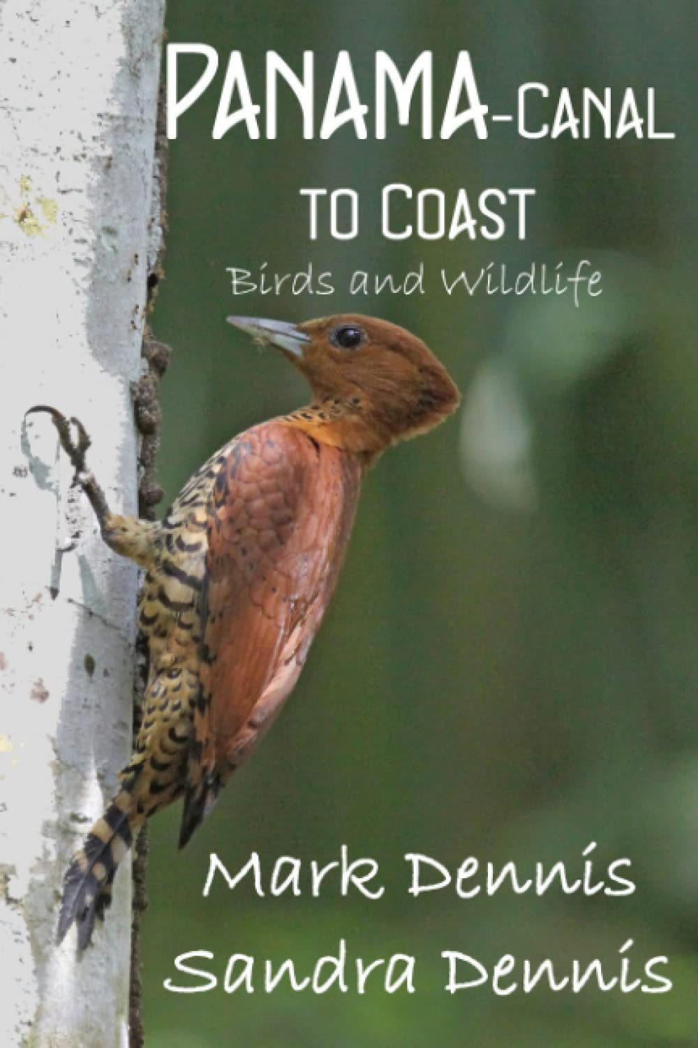 Panama - Canal to Coast: Birds and wildlife (Birding Travelogues)