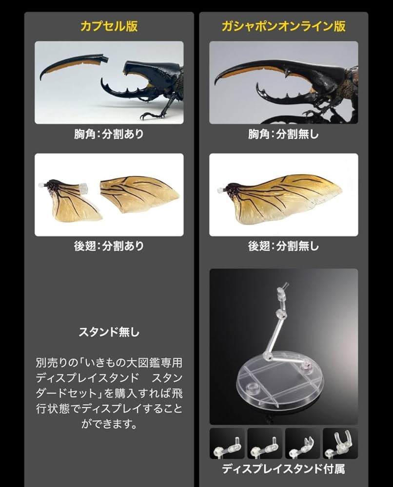 Amazon.co.jp: いきもの大図鑑アドバンス ヘラクレスオオカブト Amazon.co.jp: いきもの大図鑑アドバンス ヘラクレスオオカブト