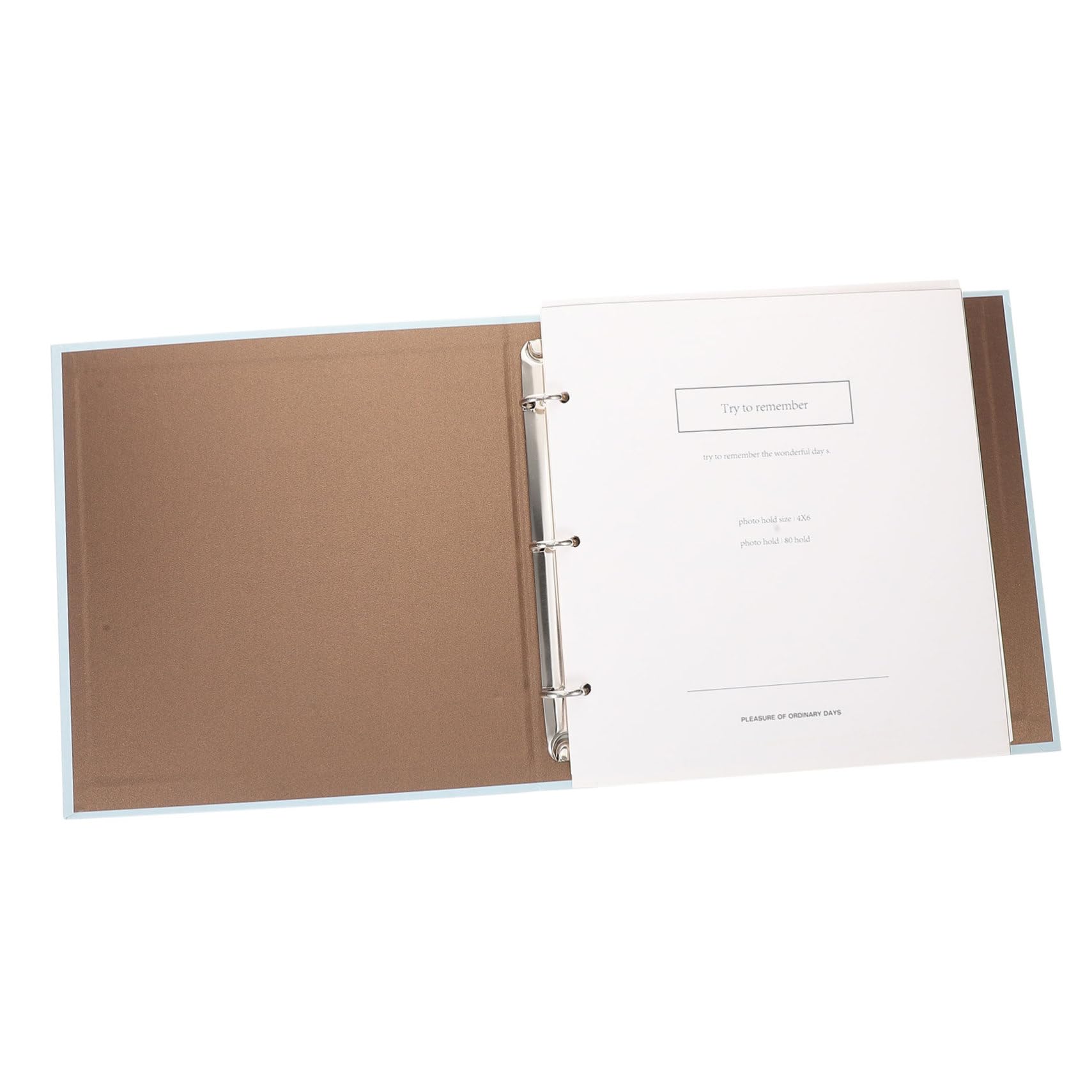 Amazon.com: Veemoon Dried Flower Storage Album Loose-leaf Plant
