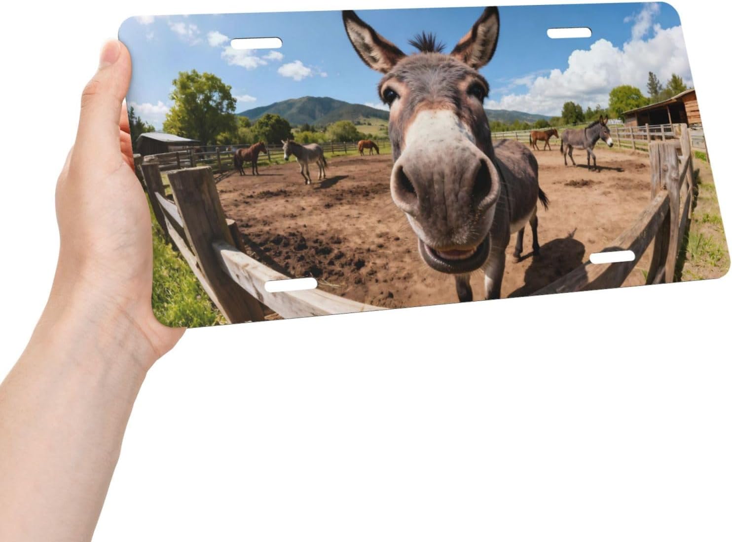 Donkey Ranch Front License Plate Car Decorative License Plates Aluminum Metal Decor Accessory Novelty Vanity Tag Cover with 4 Holes for Men Women 6" X 12"