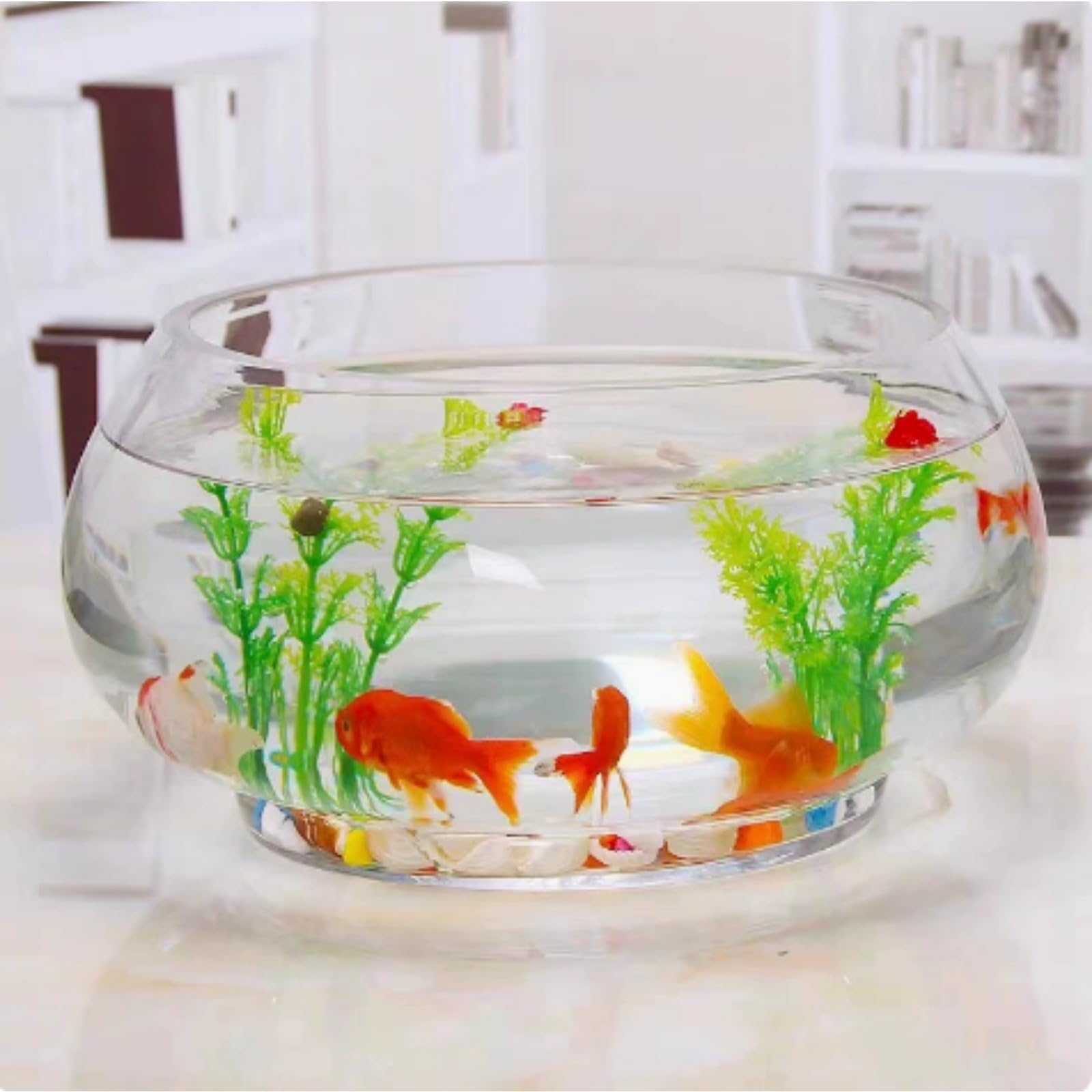 Amazon | [VSSG] 丸型透明ガラス金魚鉢 大容量アクアリウム (20cm,と