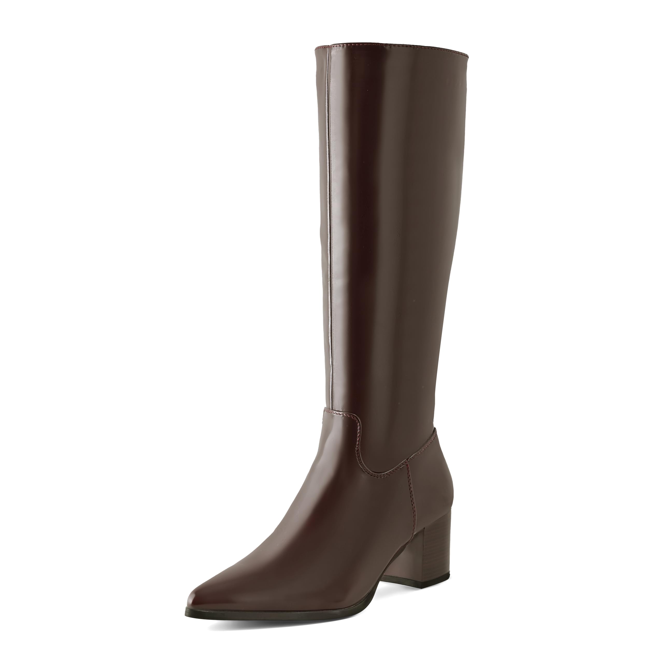 ShoeN Tale Knee High Boots for Women Pointed Toe Tall Boots Mid Stacked Chunky Block Heeled Boots Side
