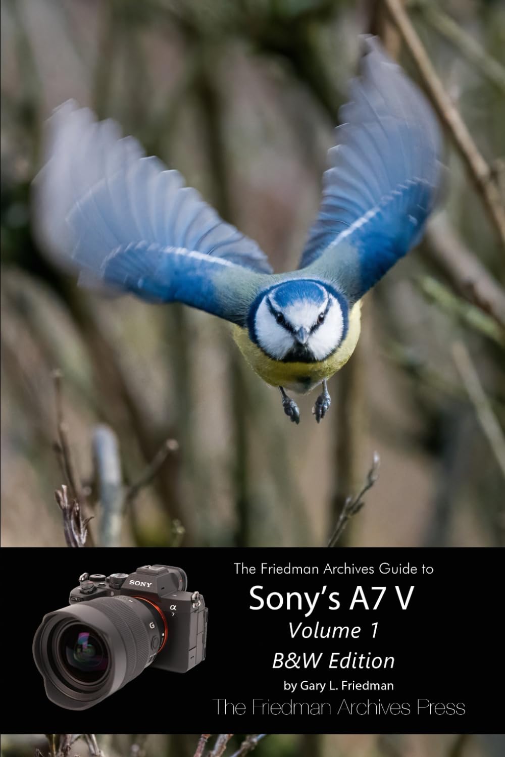 The Friedman Archives Guide to Sony's A7 V Volume 1: B&W Edition      Paperback – February 9, 2026