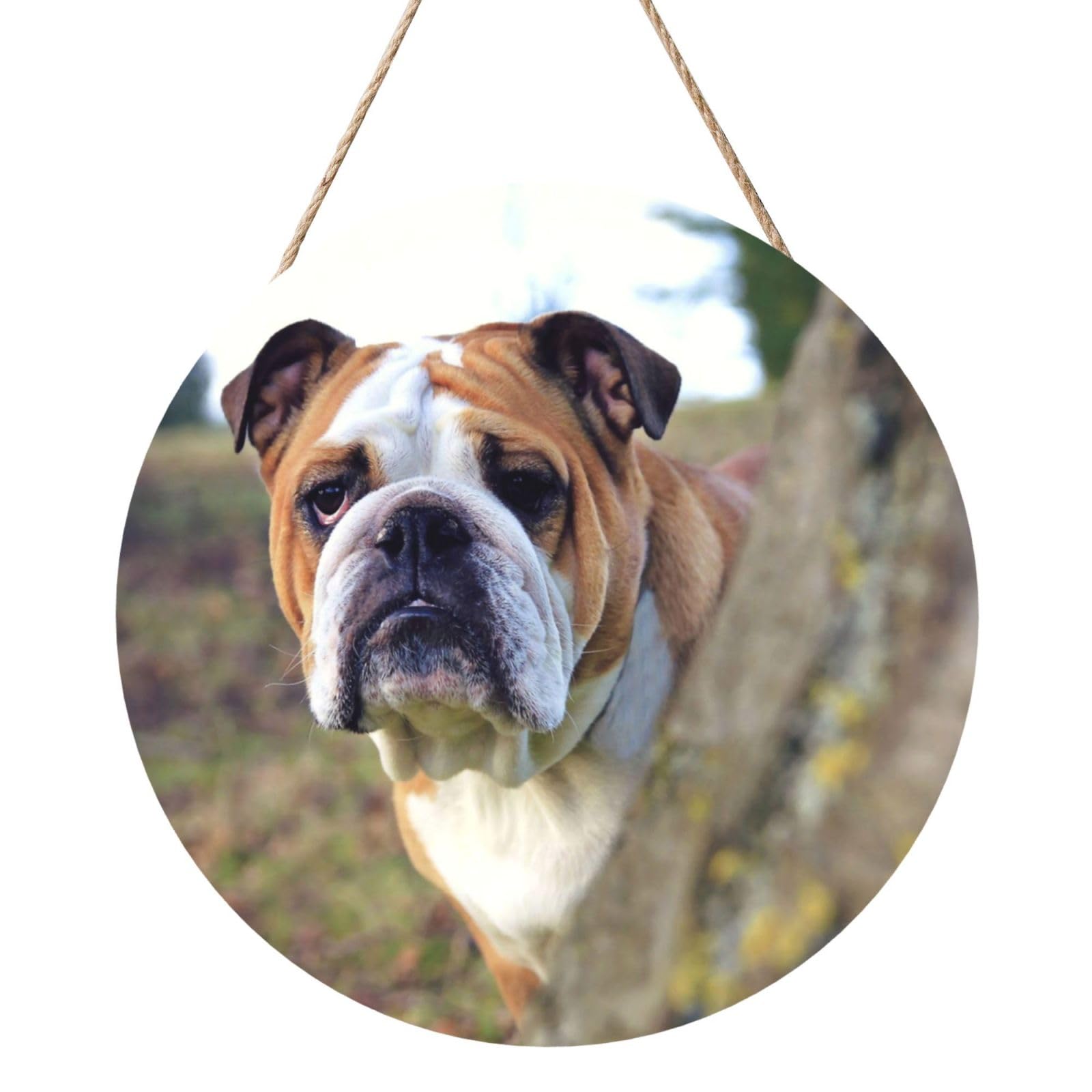 InOmak English BullDogs Lawn Pets English BullDogs, Round Wood Panel Painting 12 in, Wall Hanging Painting For Home