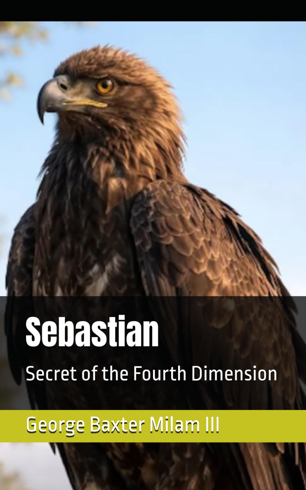 Sebastian: Secret of the Fourth Dimension