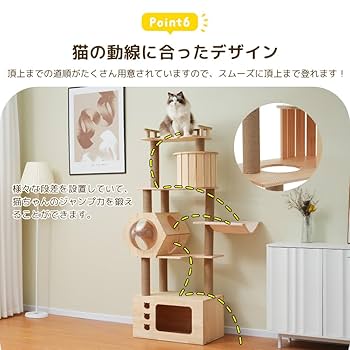 希少種！高さ約１３０㎝タワー仕立てパライソヴェルデ 4975149567256_S23_01.jpg