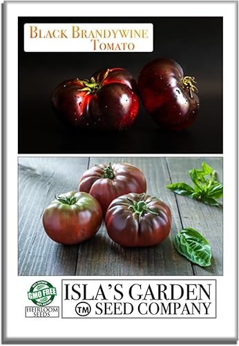 Semillas de tomate "Black Brandywine" para plantar, más de 20 semillas de reliquia por paquete, semillas de jardín de Isla (semillas de jardín de