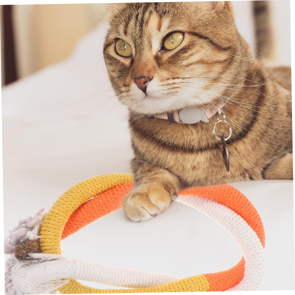 INOOMP 15pièces Jouets à Mordre pour Chats Jouets Interactifs Corde à Chat pour Éveiller Instinct De Jeu Nettoyage Intérieur