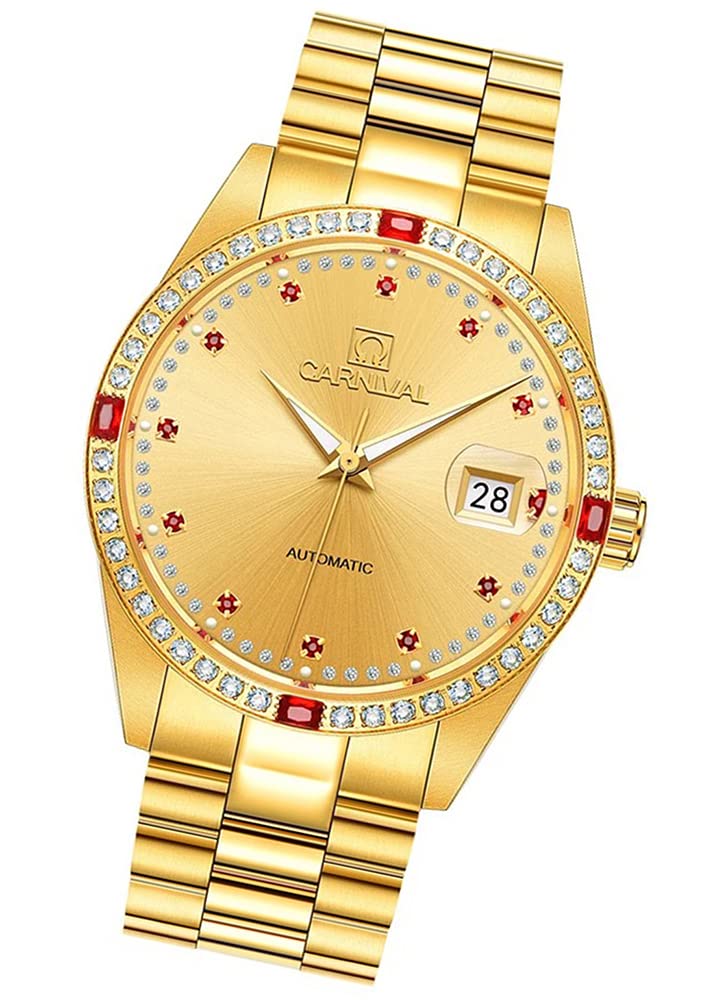 TEINTOP Luxury Men's Automatic Watch Sapphire Stainless Steel Case Band Waterproof Red Diamond Date Watches