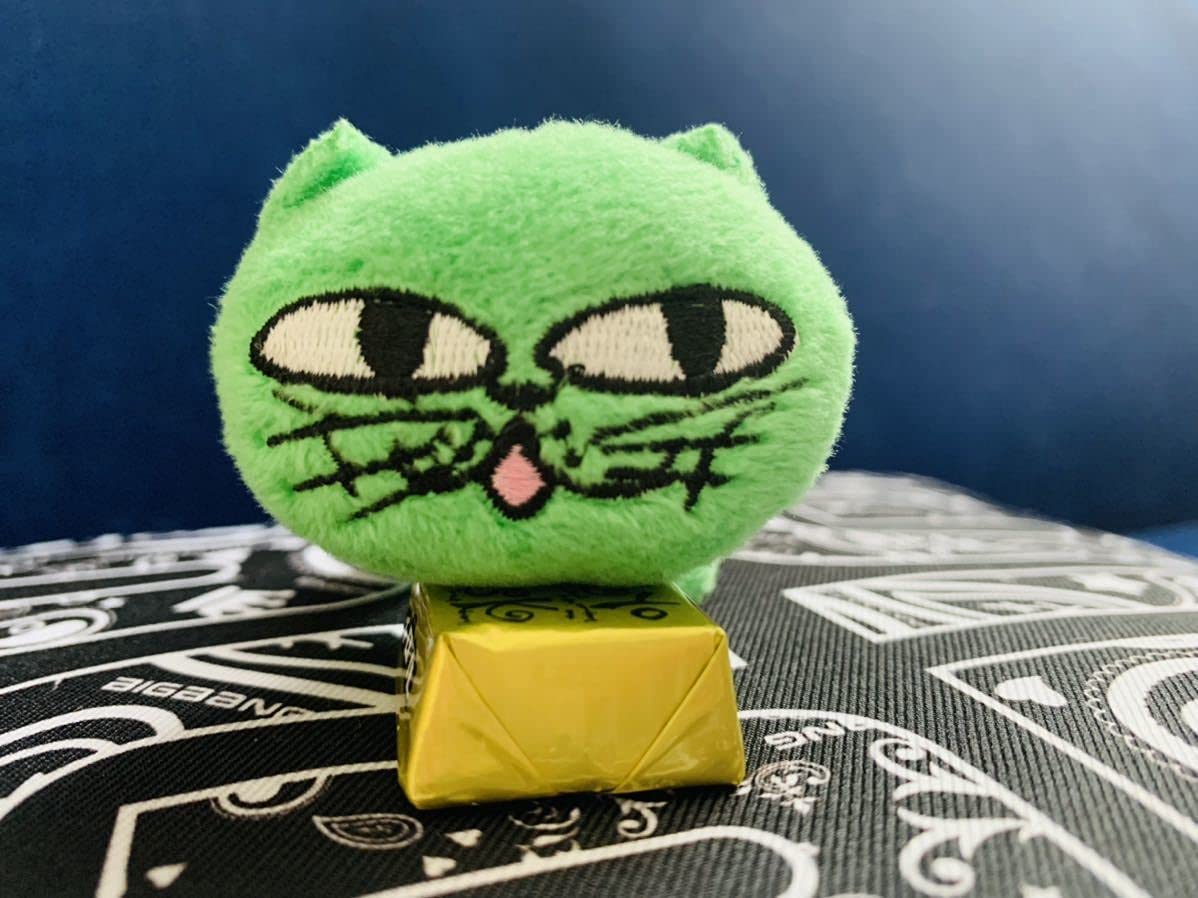 Amazon.co.jp: 2PM テギョンOKCATリストバンド : スポーツ