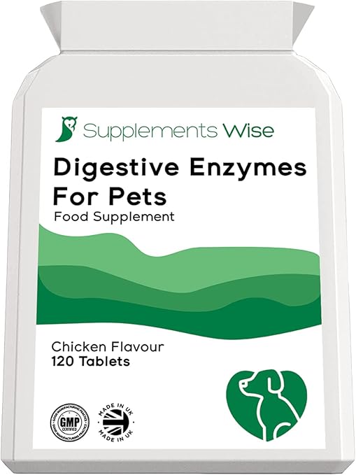 Cat Throwing Up Digestive Enzymes at Alan Gonzalez blog