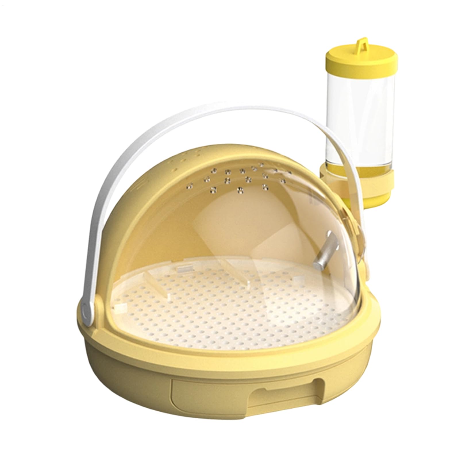 Cage de transport portable pour petit hamster gerbille et dragon barbu de compagnie