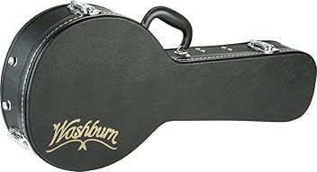 Washburn D-12N 美品 ハードケース付き Washburn D 12 N 6 String Acoustic Guitar for sale online | eBay