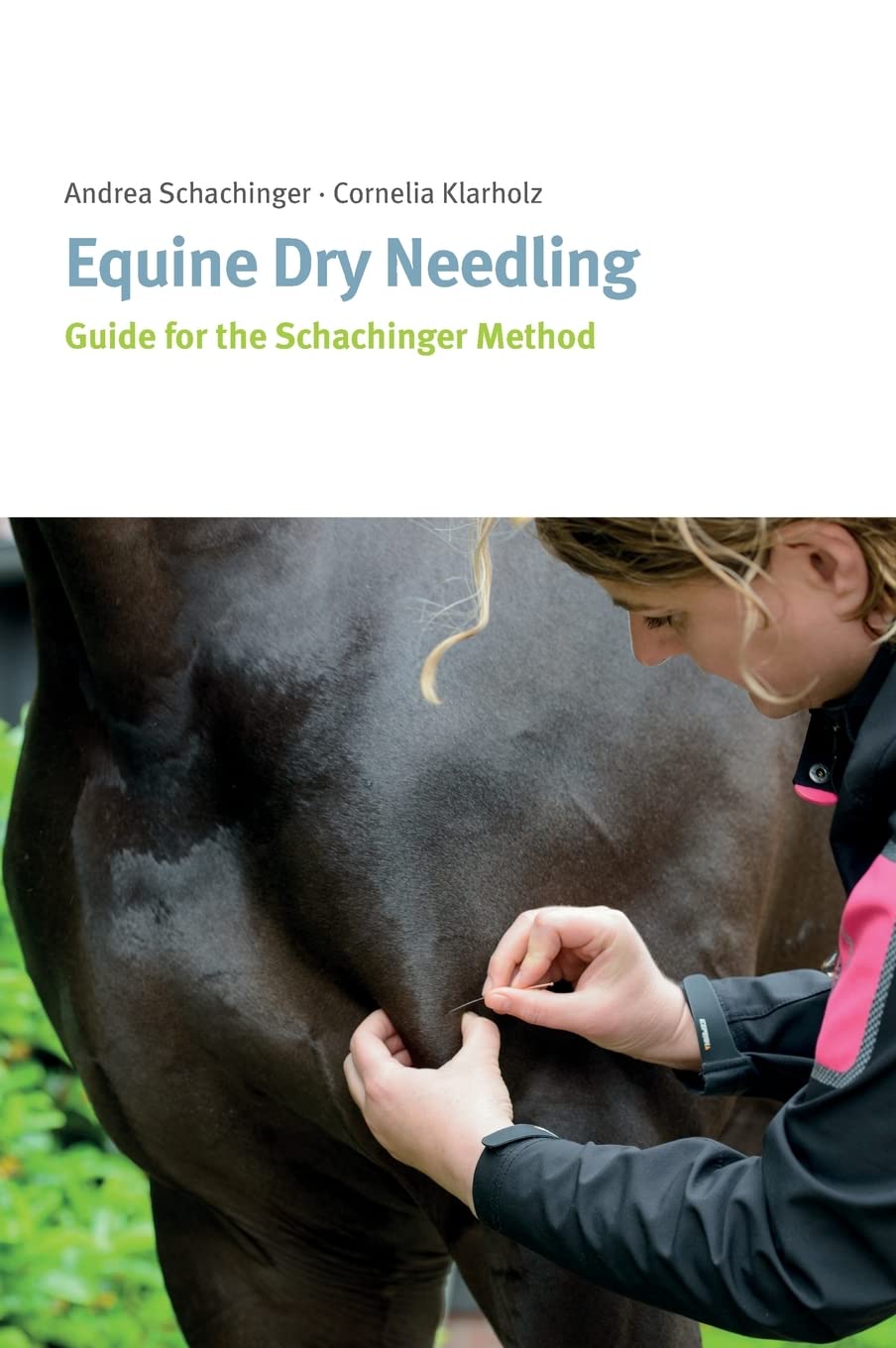 Equine Dry Needling Hardcover – March 15, 2017