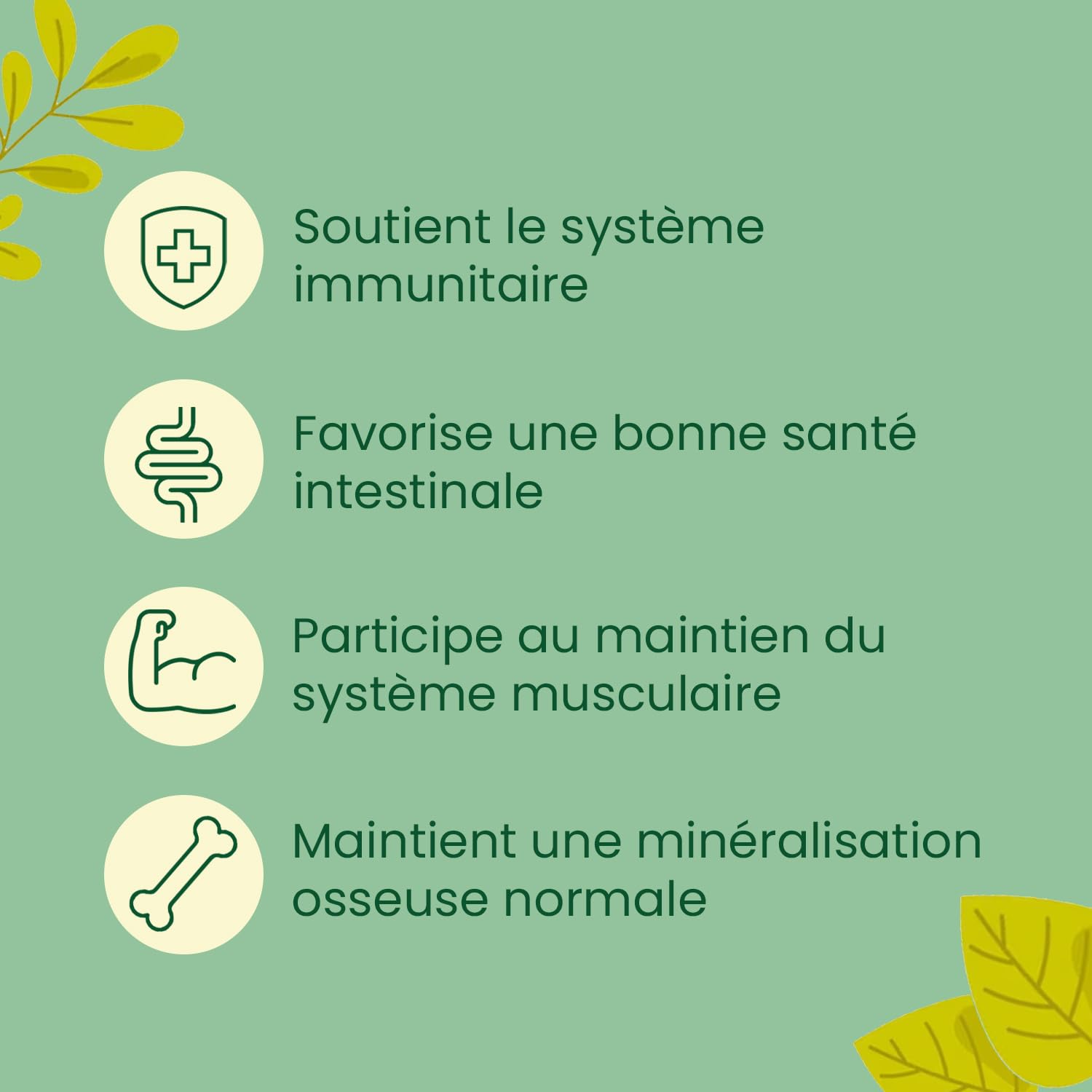 vers de Farine Séchés Français, 5kg (32,5L), 100% Naturel, Enrichis en Vitamines D3, Insectes Riches en Protéines et Bonnes Graisses, Nourriture Oiseaux Sauvages, vers de Farine Au Comptoir de Noé
