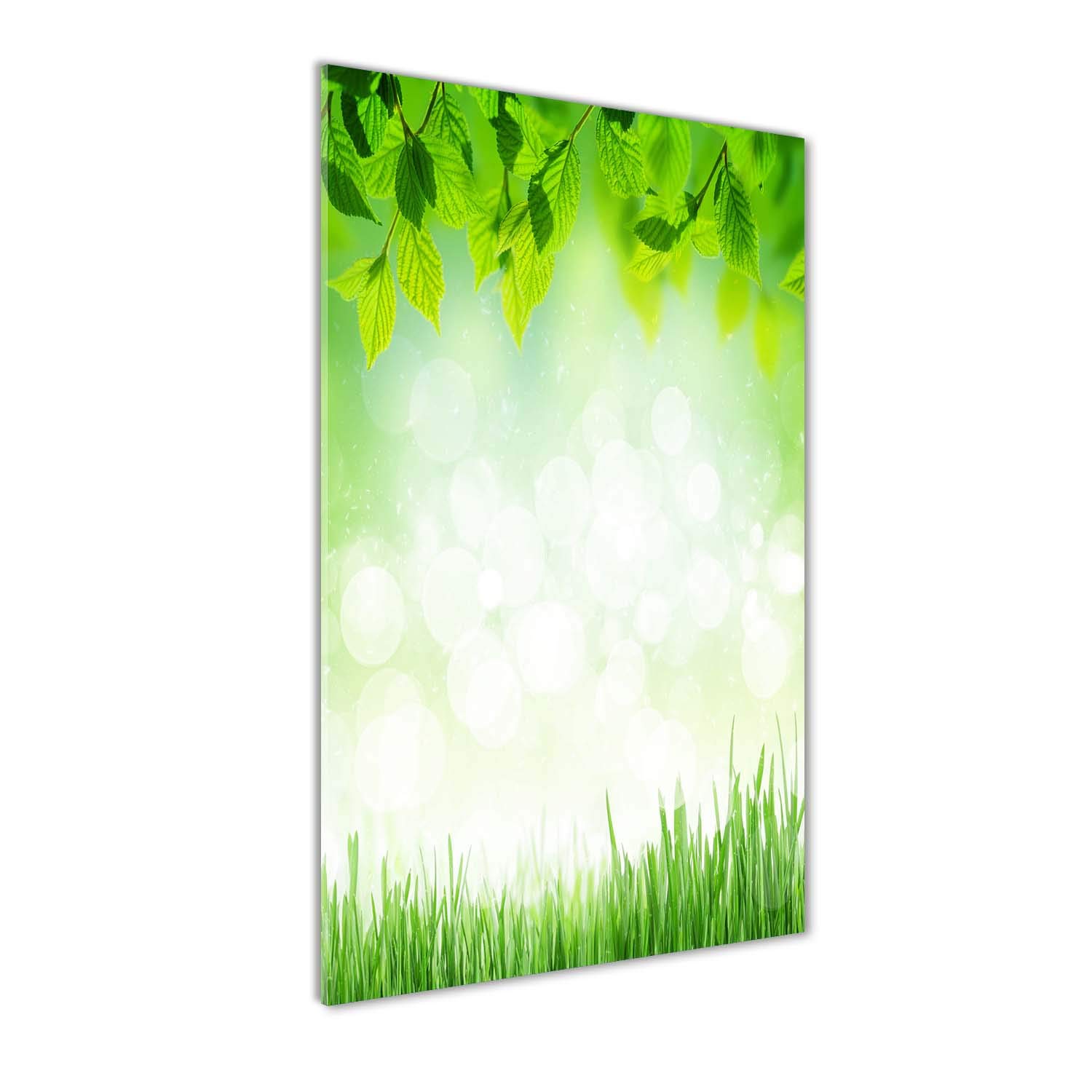 Image sur verre acrylique de plantes vertes pour créer un salon nature et apaisant