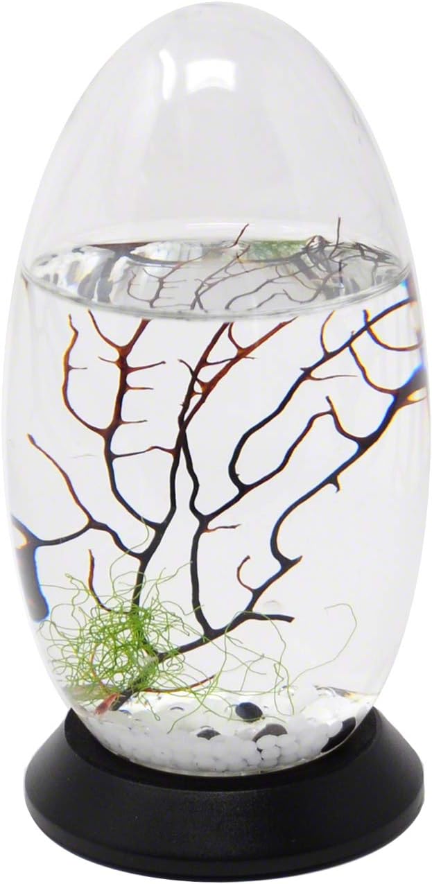 EcoSphere Closed Aquatic Ecosystem, Small Pod, with Turntable Base