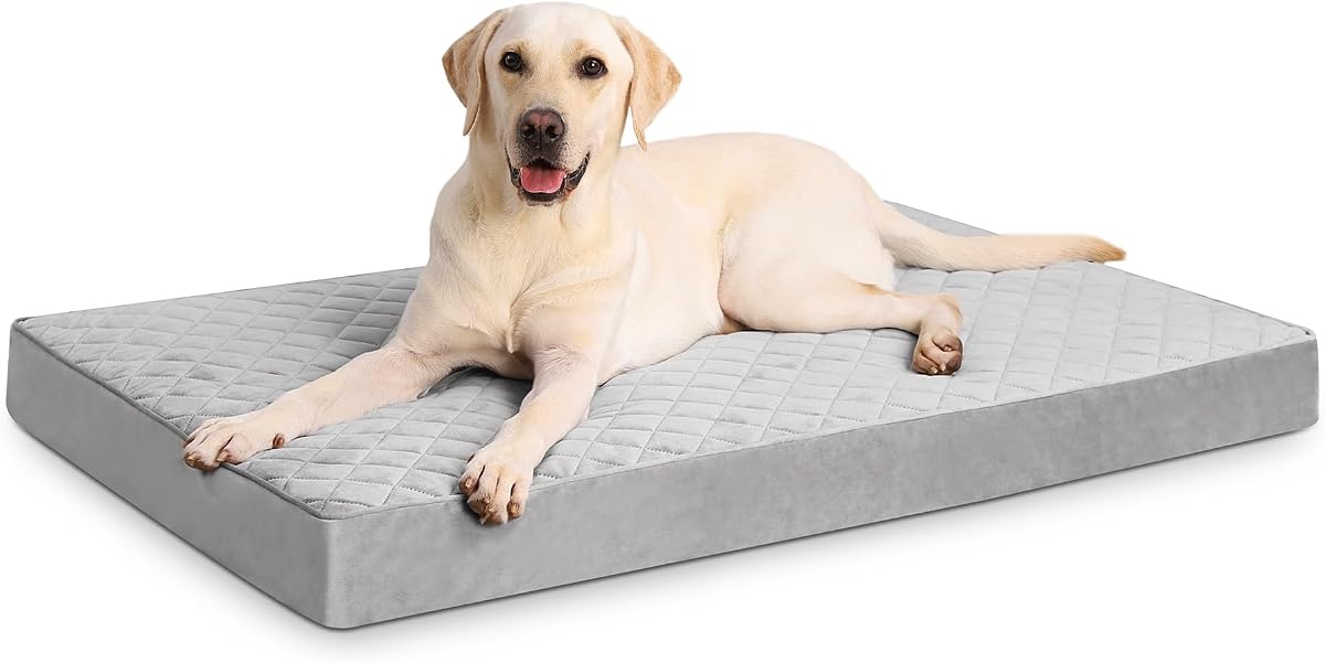 Cama ortopédica grande para perros NUPIDA para jaula con funda lavable, 35x22, gris | Espuma para jaula de huevo, cómodo colchón de terciopelo para mascotas, capa impermeable de TPU, almohadilla plana para perrera, soporte cómodo, fondo antideslizante