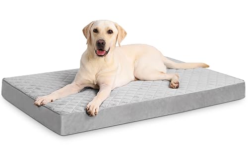 NUPIDA Orthopedic XL Dog Beds Large product photo (Beds & Crates) — ScooterReviewPro review