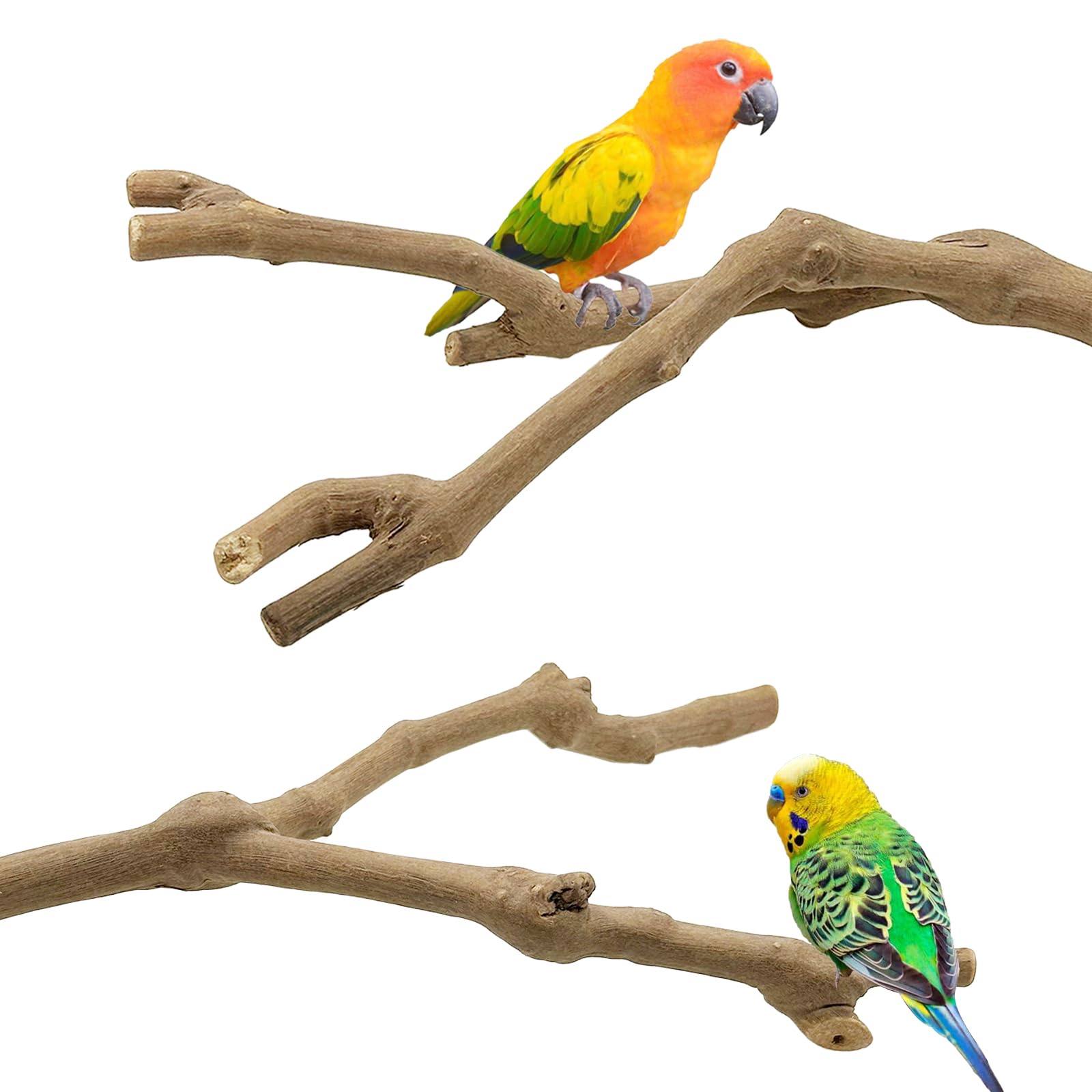 5 Pz Posatoi per Uccelli, Posatoi in Legno di Uccelli, Trespolo per Uccelli e Pappagalli, Ramo D'uva Naturale Giocattolo Posatoi per Uccelli Legno Naturale per Cacatua, Cocorite