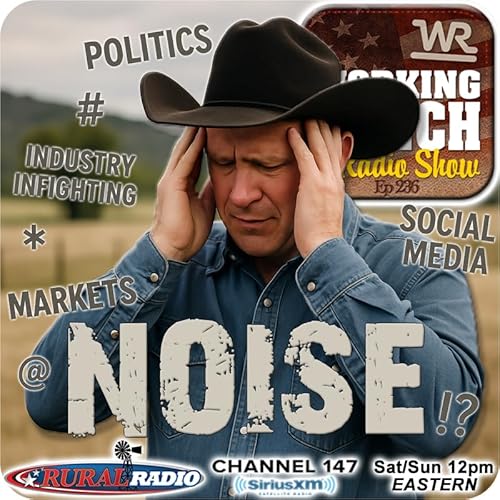 Ep 236: Cutting Through the Noise w/ Allan Crockett