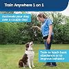 PetSafe, Collarless Ultrasonic Remote Trainer, Two Tone, Safe, Anti Bark, Black