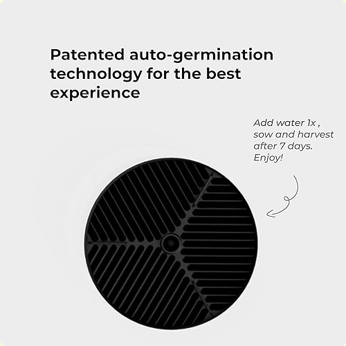 Miniatura 5 de MOTHER MicroPod