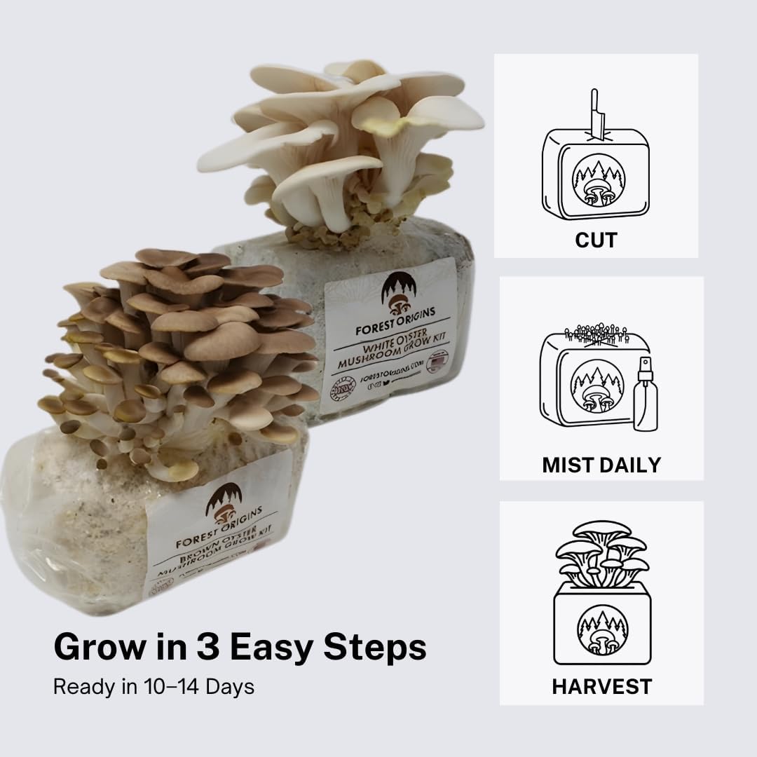 Forest Origins White & Brown Oyster Mushroom Grow Kit 2-Pack Variety - Beginner Friendly & Easy to Use, Grows in 10 Days | Handmade in California, USA | Top Gardening Gift, Holiday Gift & Unique Gift