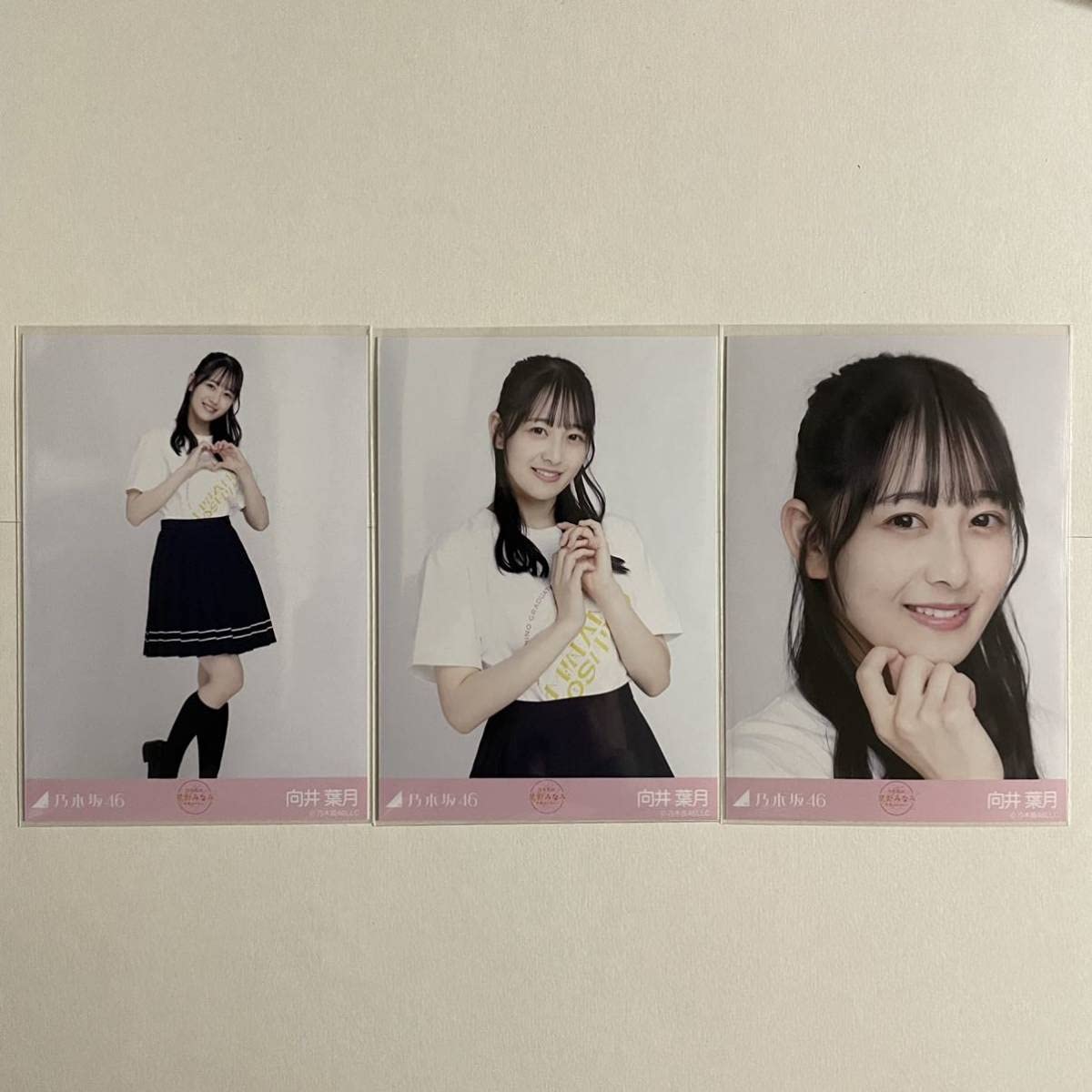 乃木坂46 星野みなみ 会場限定 星野みなみ 卒業セレモニーTシャツ 生